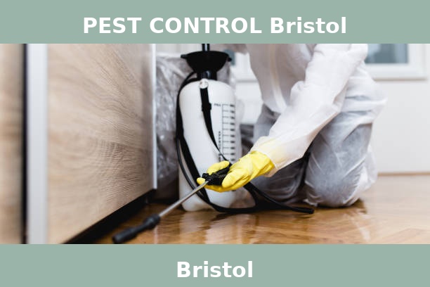 PEST CONTROL Bristol